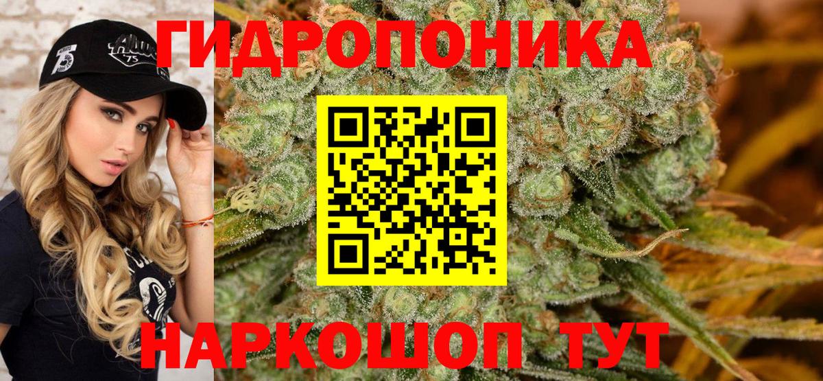Каннабис гибрид  Вход с VPN  Бошки марихуана семена  Верхний Уфалей  Каннабис сатива 